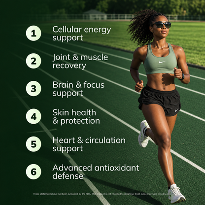 Herbie Iron Root. — 20+ Herbs, Roots & Botanicals for Men’s Energy, Drive & Peak Vitality (Copy)